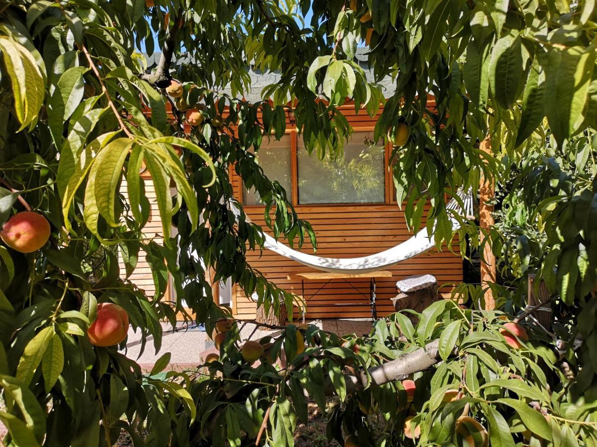 Relax Eaza - Casa Cu Hamac Villa Constanta Bagian luar foto