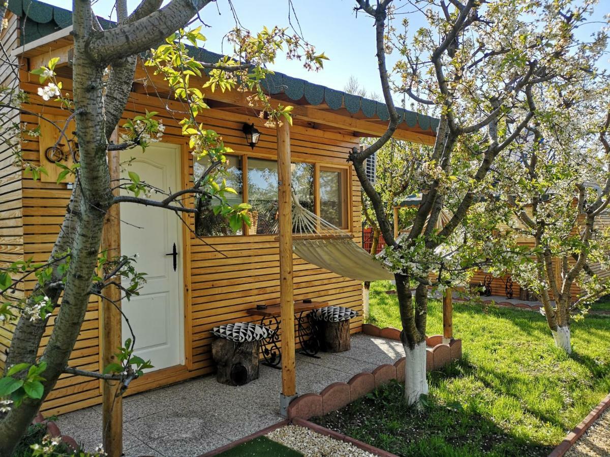Relax Eaza - Casa Cu Hamac Villa Constanta Bagian luar foto